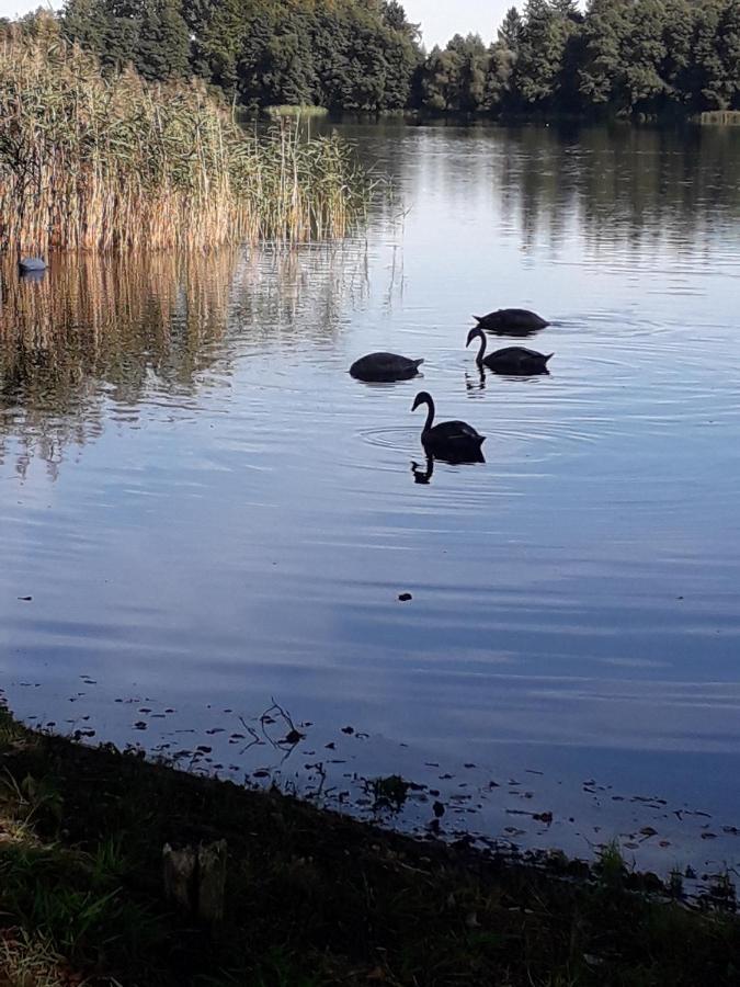 Domek U Janiny Czaplinek Buitenkant foto