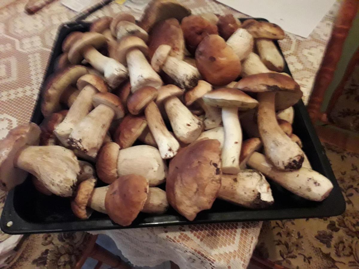 Domek U Janiny Czaplinek Buitenkant foto