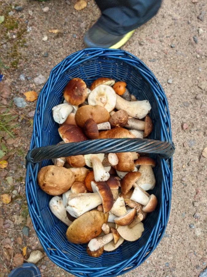Domek U Janiny Czaplinek Buitenkant foto